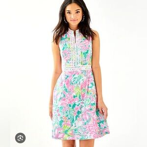 Lilly Pulitzer Franci Dress Size 6